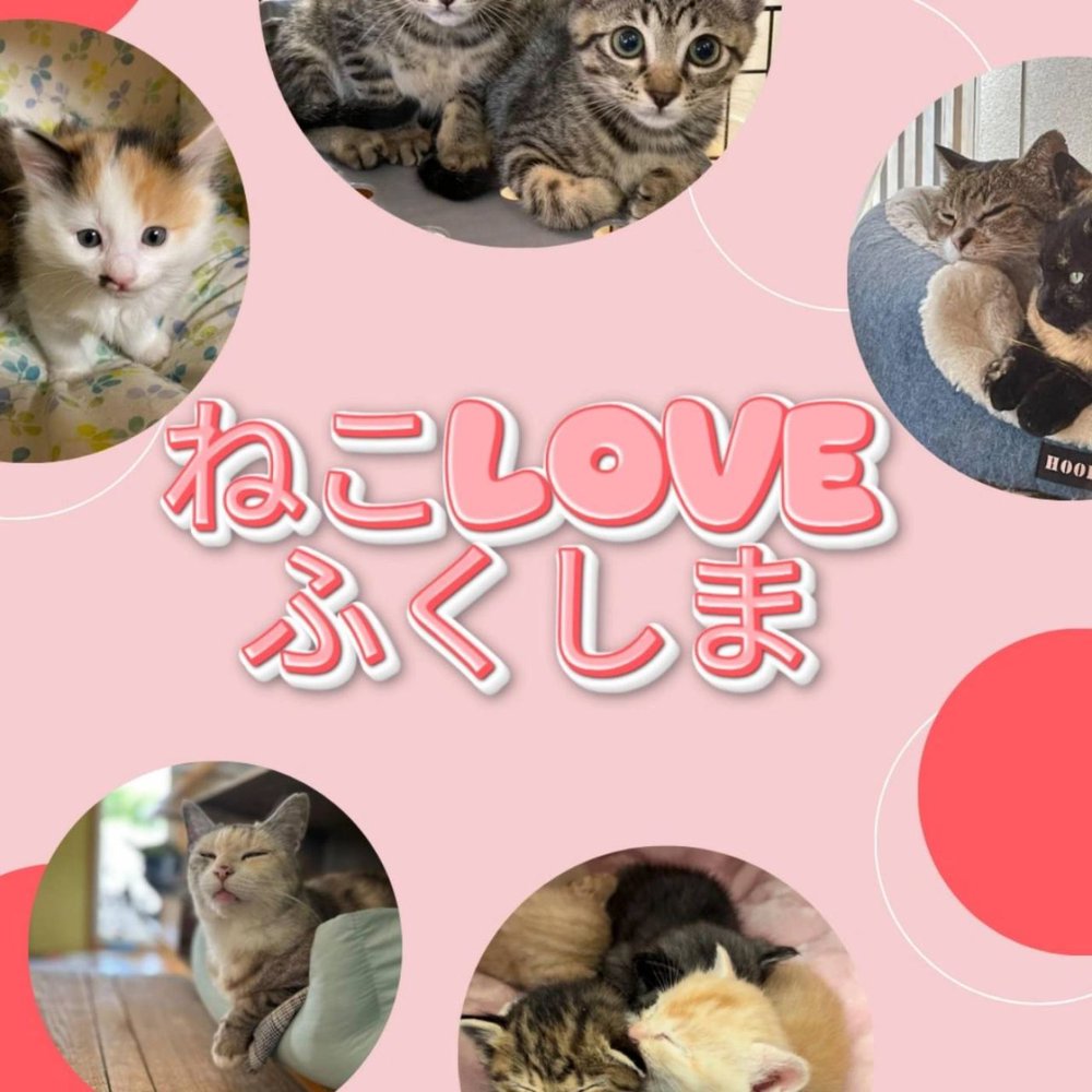 2026年9月21日放送（ねこLOVEふくしま）| radiko(ラジコ)
