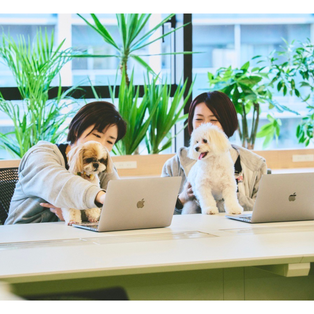 #76　ゲスト：株式会社ゆずず　広報　村田さん、愛犬　おもちちゃん