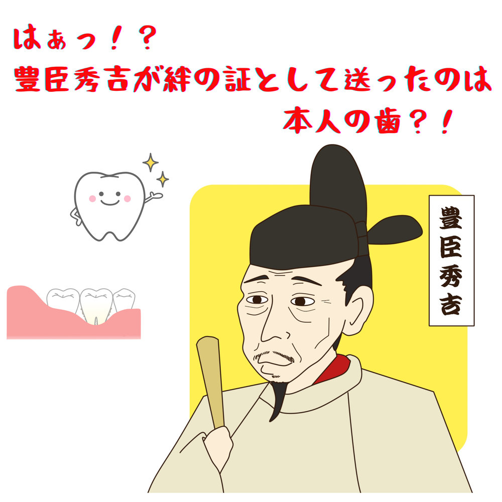 #097【　はぁっ！？豊臣秀吉が絆の証として贈ったのは本人の歯　】2026/02/22