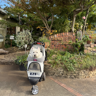 ＃45　わんだふるおぢさん登場！「ウィルビーイングウィーク」の紹介／ワンコと一緒に行けるオススメのお店紹介