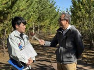 ひろの防災緑地で行われるクロマツの調整伐採について