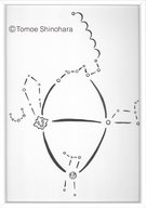 4月11日からの東京の星空情報☆彡