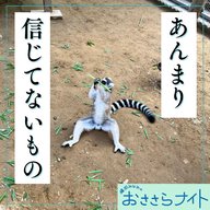 ＜ＯＡ＞２０２６年７月１８日放送