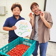 南相馬市 ひばり菜園