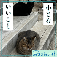 ＜ＯＡ＞２０２５年１１月８日放送