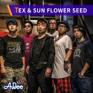 TEX & SUN FLOWER SEED「太陽のリズム」 2023/2/17放送