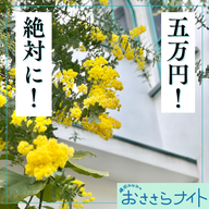 ＜ＯＡ＞２０２６年３月１４日放送