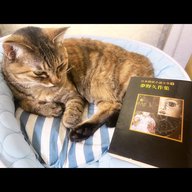 陰陽座 黒猫のねこまんまRADIO 第20夜