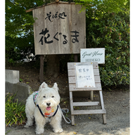 #74　わんだふるおぢさん登場！来月開催の「DOG EXPO 2026」について