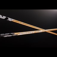 ビズスタ　THE REAL WELLNESS #203【シャフトブランド「フジクラ」の「スピーダーNXゴールド」】