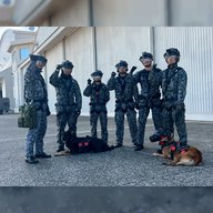 「航空自衛隊入間基地・警備犬スペシャル　vol.4」～警備犬人員捜索の上級資格をもつ志賀２等空曹×ジャスミン号、中級資格をもつ  中西３等空曹×アネラ号に密着！～