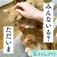 Podcast版　2026/1/24 第181回