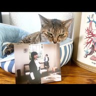 陰陽座 黒猫のねこまんまRADIO 第24夜