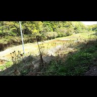 理事・有本智さんに聞く　ビオトープ孟子の活動内容