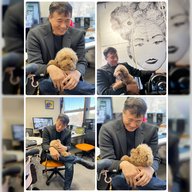 祝プロ野球開幕「朝みみ！情報局」拡大版 ⚾️元中日ドラゴンズ⚾️与田剛さんが語る   14歳・愛犬の命の物語　／　豪華プレゼント🎁も！