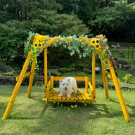 #38　こうざぶろうPの「ケンジーの森」レポート！／ワンコのおやつ事情