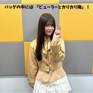 ＃５　バッグの中には「ビューラーとカリカリ梅」
