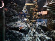 名古屋港水族館特集を終えて～祝日特集候補をください～