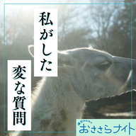 ＜ＯＡ＞２０２６年２月２８日放送