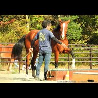 #74 馬とともに生きる地域の牧場 / 宮城県