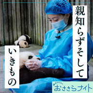 Podcast版　2026/6/6 第198回
