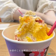 #012 歳を取っても強くならない心　～今日のことは明日には忘れていよう～