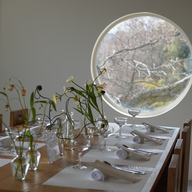 #66　わんだふるおぢさんが登場！本日「わんだふる山口2026」2日目開催！