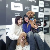 🎙️朝みみ！トーク　俳優 石井杏奈さん が  愛犬🐕🐩56・96と登場　／　２匹のトイプードル君たちは元気いっぱい。スタジオにはどんなバッグに入ってるのかな？