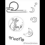 11月1日からの東京の星空情報☆彡