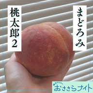 Podcast版　2026/5/9 第195回