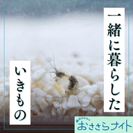 ＜ＯＡ＞２０２６年６月６日放送