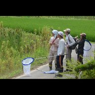 理事・有本智さんに聞く　ビオトープ孟子の動植物モニタリング調査