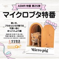 ASMR特番『マイクロブタ特番～寒い冬、ブタさんたちが奏でる可愛い音にほっこりしよう編～』を放送！