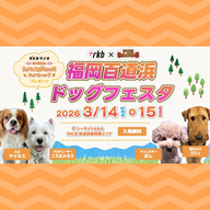 #61　わんだふるおぢさんが登場！RKB福岡百道浜ドッグフェスタ2026当日！