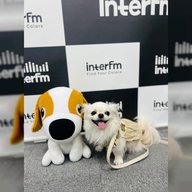 荒井桃子さん @momoviolin (vl.)🎻＆愛犬たち。