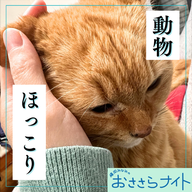 ＜ＯＡ＞２０２５年１２月１３日放送