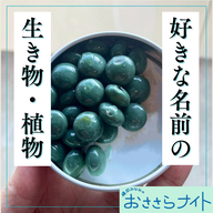 ＜ＯＡ＞２０２５年１１月２２日放送