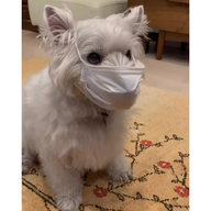 #42　ゲスト：獣医師　渡邊遥さん