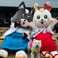 #63　「RKB福岡百道浜ドッグフェスタ2026」にて　出展社&ワン友さんにインタビュー！