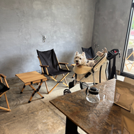 #34　わんだふるおぢさん登場！わんだふるのイベント紹介！