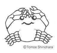 3月14日からの東京の星空情報☆彡