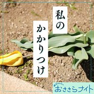 ＜ＯＡ＞２０２６年６月１３日放送