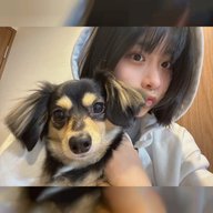 メルカリでポチりました