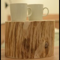 #60 ヒバの魅力を全国へ / 青森県