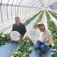 いわき市  草野いちご園