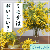 Podcast版　2025/4/26　第158回