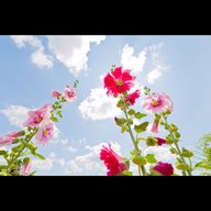 今年も夏が、やってくる。