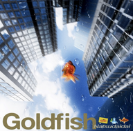 Goldfish / Natsudaidai