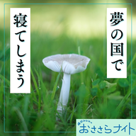 Podcast版　2026/5/2 第194回