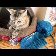 陰陽座 黒猫のねこまんまRADIO 第8夜